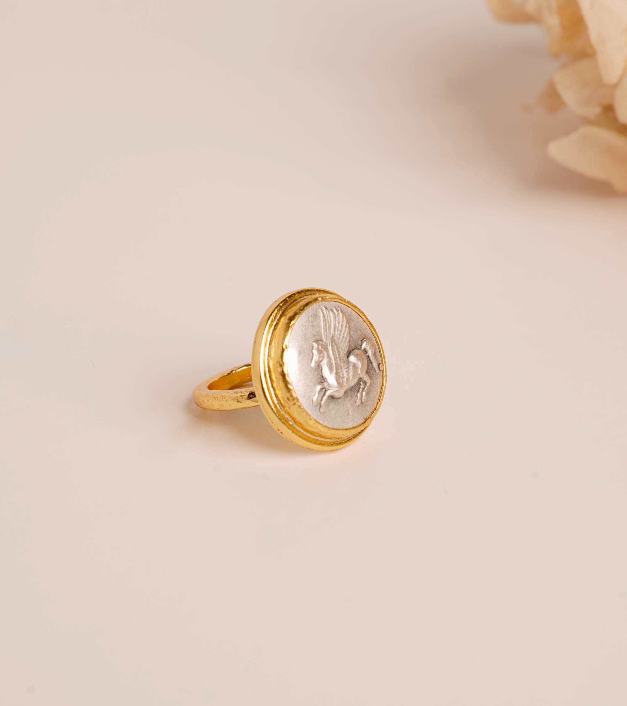 Pegasus Para Tasarım Pirinç Yüzük